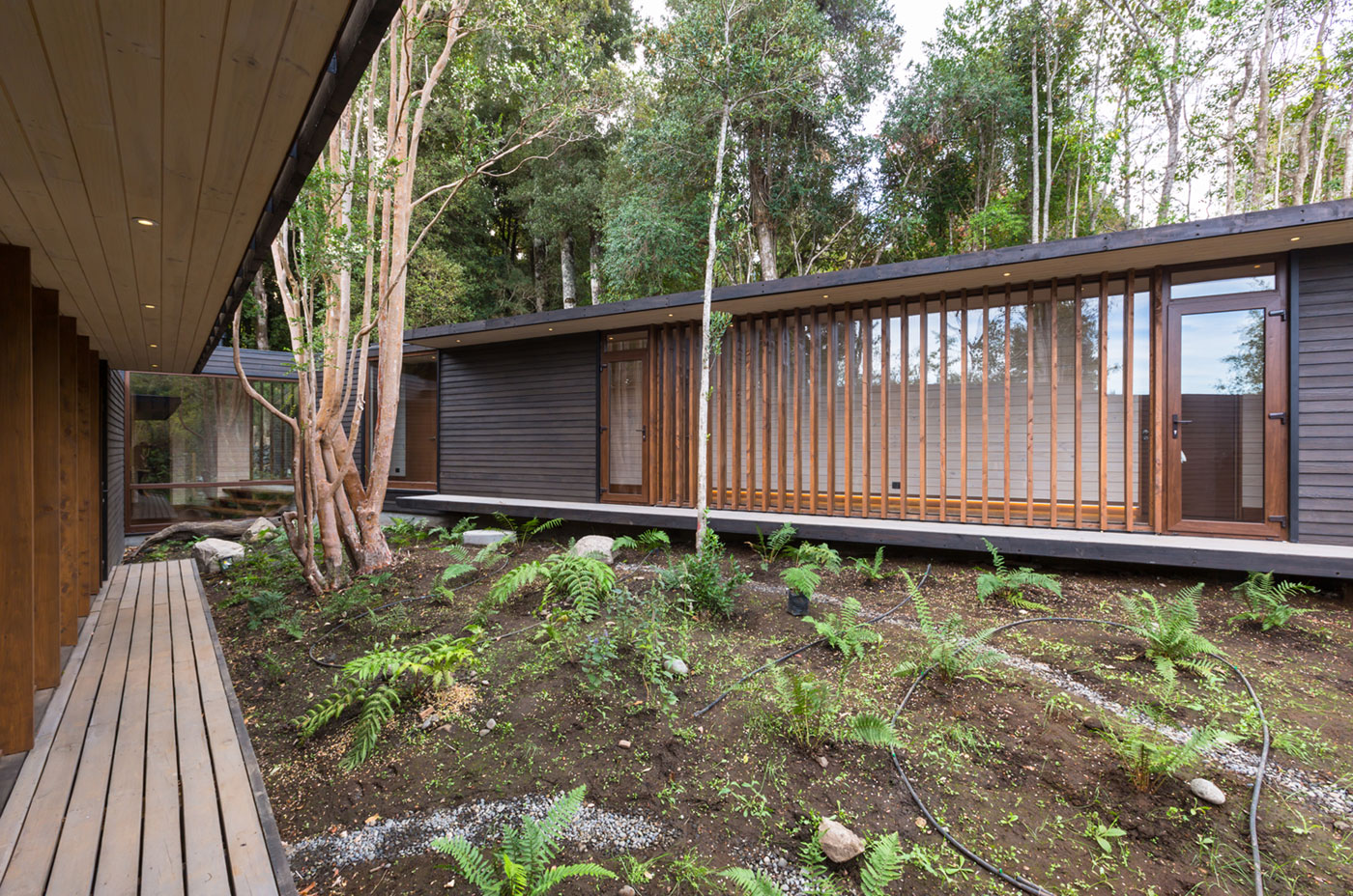 Lombok Architekten - Ruhiges Contemporary Haus im Wald Bild 4